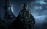 Batman: Arkham Knight 蝙蝠侠阿甘骑士 高清游戏壁纸6