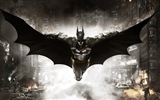 Batman: Arkham Knight 蝙蝠侠阿甘骑士 高清游戏壁纸9