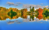 秋天的水和樹 高清壁紙 #10