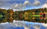 El agua y los árboles en otoño fondos de pantalla HD #11