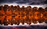 El agua y los árboles en otoño fondos de pantalla HD #13