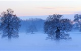 寒冷冬天美麗的雪景，Windows 8 全景寬屏壁紙 #6