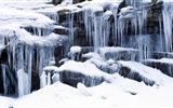 Krásná zima sníh, Windows 8 panoramatické, širokoúhlé tapety #7
