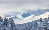 Schöne kalten Winter Schnee, Windows 8 Panorama-Widescreen-Wallpaper #9