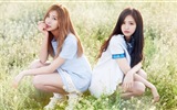 Korejský hudební dívčí skupina, růžové HD tapety na plochu #9