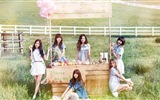 Корейская музыка группы девушки, розовый обои HD #11