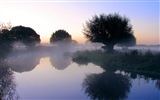 Misty Morgen Landschaft, Windows 8 Theme Wallpaper #4