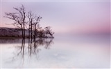 Misty Morgen Landschaft, Windows 8 Theme Wallpaper #6