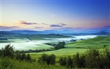 Misty morning scenery, Windows 8 theme wallpaper #11