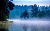 Misty Morgen Landschaft, Windows 8 Theme Wallpaper #14