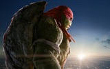 2014 Teenage Mutant Ninja Turtles-Film HD Hintergrundbilder #9