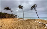 독일의 아름다운 해안 풍경, 윈도우 8의 HD 배경 화면 #18