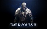 Dark Souls 2 игра HD обои для рабочего стола