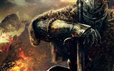 Dark Souls 2 игра HD обои для рабочего стола #95113