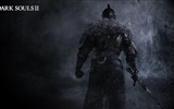Dark Souls 2 game HD wallpapers #12