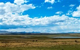 Plateau Qinghai beau fond d'écran de paysage #18