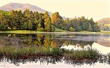 Sunshine lagos forestales belleza de la naturaleza HD papel tapiz #14