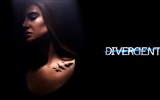 Divergent movie HD wallpapers #7