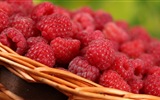 Sweet red raspberry HD wallpapers #5
