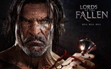Lords of the Fallen Spiel HD Wallpaper #12