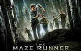 Die Maze Runner HD Film Hintergrundbilder #2