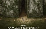 The Maze Runner 移动迷宫 高清电影壁纸5
