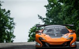 2015 суперкар HD обои McLaren 650S GT3 #2