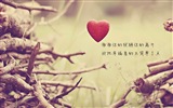 The theme of love, creative heart-shaped HD wallpapers #7