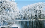 Зима, снег, горы, озера, деревья, дороги HD Обои