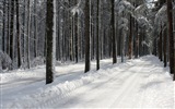 冬天的雪景，山，湖，树木，道路 高清壁纸3