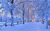 Зима, снег, горы, озера, деревья, дороги HD Обои #4