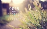 Calendario 2015 fondos de pantalla de alta definición