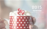 Calendario 2015 fondos de pantalla de alta definición #16
