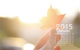 Calendario 2015 fondos de pantalla de alta definición #23