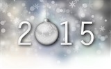 2015 New Year theme HD wallpapers (1) #4