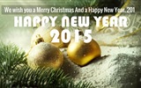2015 New Year theme HD wallpapers (1) #12