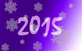 2015 New Year theme HD wallpapers (1) #15