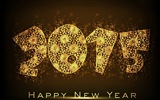 2015 New Year theme HD wallpapers (1) #16
