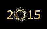 Nouvel An 2015 fonds d'écran thème HD (2) #12