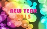 Nouvel An 2015 fonds d'écran thème HD (2) #18