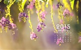Январь 2015 календарный обои (1)