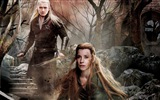 El Hobbit: La Batalla de los Cinco Ejércitos, fondos de pantalla de películas de alta definición #3