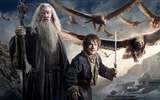 El Hobbit: La Batalla de los Cinco Ejércitos, fondos de pantalla de películas de alta definición #4
