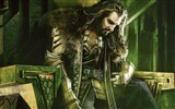 El Hobbit: La Batalla de los Cinco Ejércitos, fondos de pantalla de películas de alta definición #5