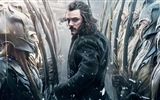 El Hobbit: La Batalla de los Cinco Ejércitos, fondos de pantalla de películas de alta definición #8