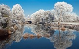 겨울 눈 아름다운 풍경의 HD 월페이퍼 #2