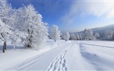 Зимний снег Обои красивые пейзажи #14