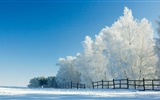 Зимний снег Обои красивые пейзажи #15