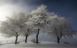 La nieve del invierno fondos de pantalla HD hermoso paisaje #18