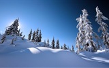 Neige d'hiver fonds d'écran HD magnifique de paysages #19